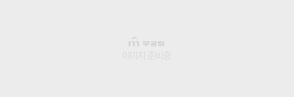img_ready_1204