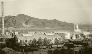 1961년
